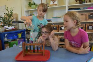Montessori children conducting science experiment.